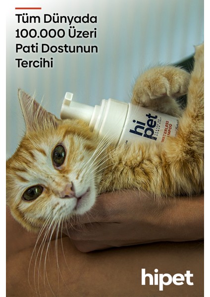 Kedi Kuru Şampuan