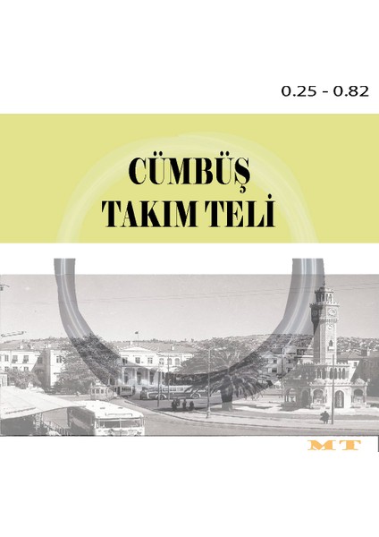Cümbüş Teli 3 Set