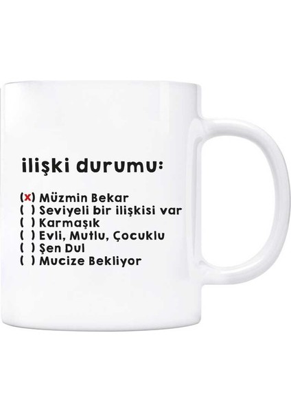 Ilişki Durumu Kupa Bardak - Müzmin Bekar