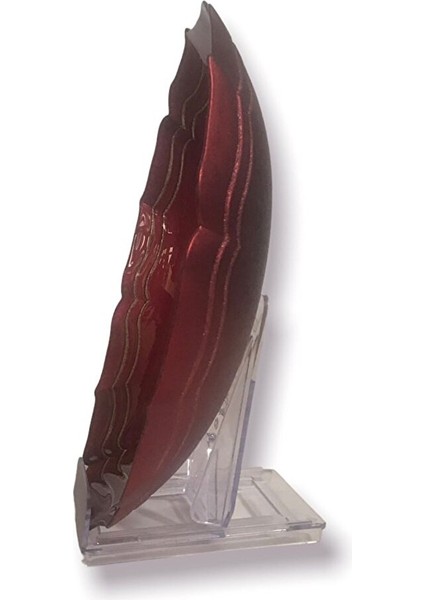 Alıce 30 cm Meyvelik fiyatları