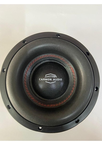20 cm Subwoofer Profosyonel Bass 900W 300 Rms Kabinsiz