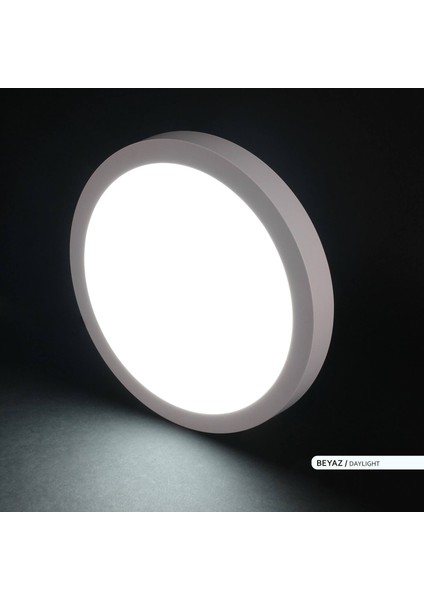 24 W 6500K Beyaz Sıva Üstü Yuvarlak LED Panel Armatür AP03-02430