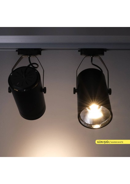 AD30-01901 3000K Günışığı 30W Siyah Kasa Cob LED Ray Spot Armatür fırsatları