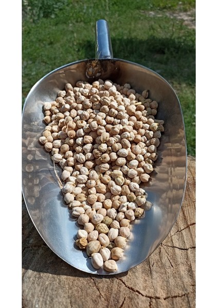 İri Boy Nohut 1 kg