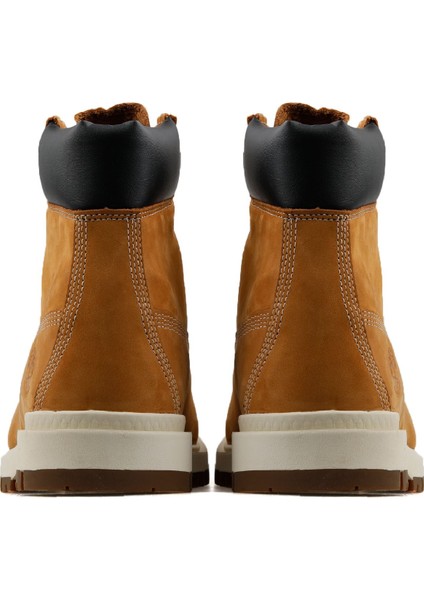 Tree Vault 6 Inch Wp Erkek Sarı Bot fırsatları