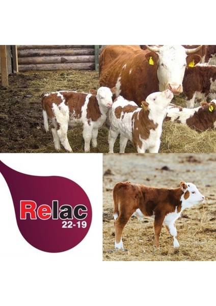 Relac 22 19 Hayvansal Içerikli Ithal Buzağı Maması 25 Kg modelleri