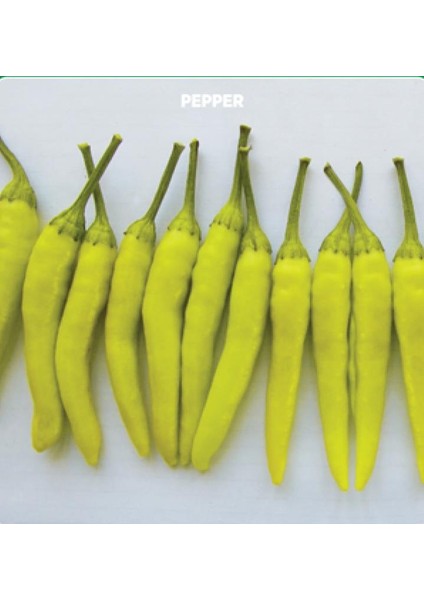 Yerli Ata Tohumu Sarı Süs Biberi 50 Adet