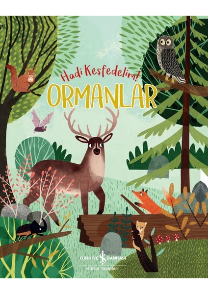 Ormanlar – Hadi Keşfedelim! - Claire Philip