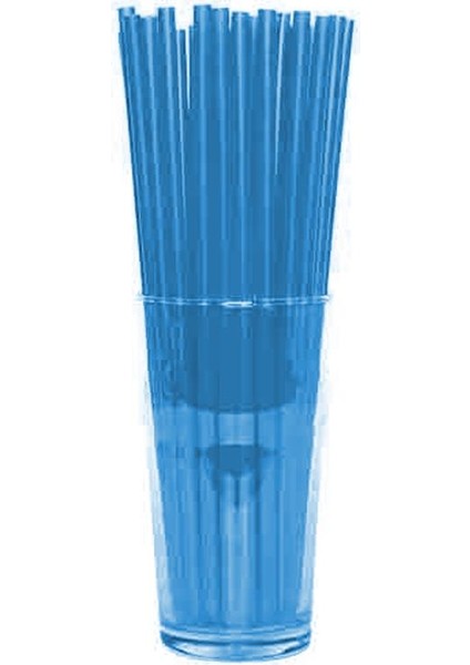 Pipet Renkli Frozen Mavi 23CM