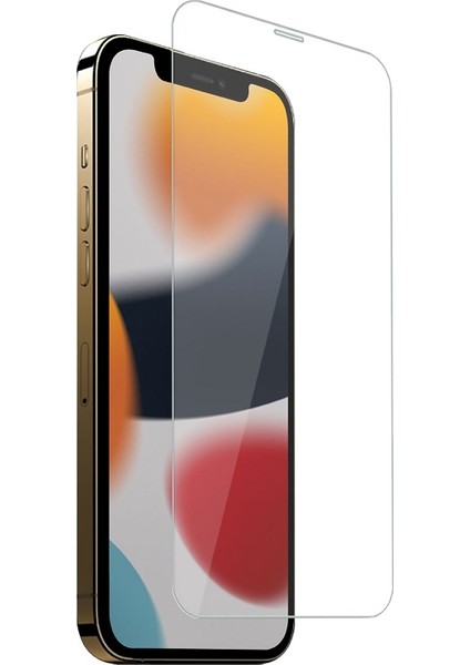 iPhone 13 Pro Max Ekran Koruyucu Cam T-EWAX