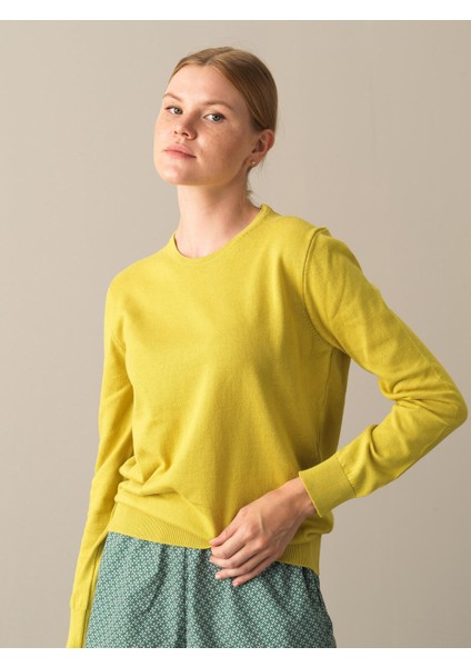 Kadın Sarı Regular Fit Basic Kazak fiyatları