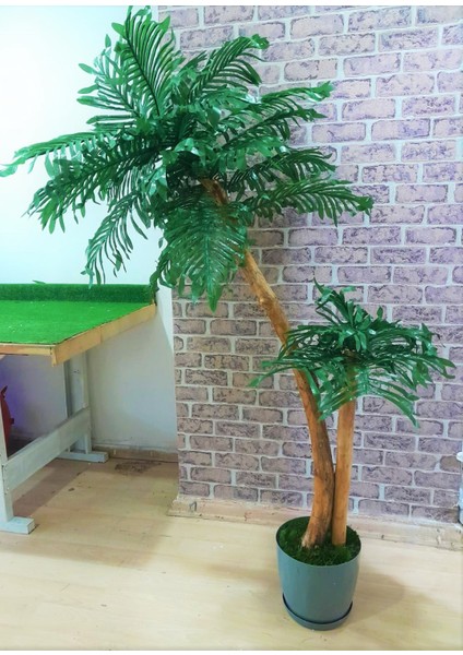 Yapay Palmiye Ağacı Areka Palmiyesi 1.70 mt Boy Geniş Yeşil Yaprak Çift Gövde