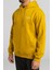 Arch Po Erkek Sweatshirt F1FL12 4
