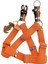 Köpek göğüs tasması orta ırk turuncu yumuşak kolon genişlik:3,5cm kalınlık:3mm göğüs ölçüsü:40-75cm ayarlamalı dog harness GT3-18 2