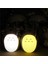 Totoro LED Gece Lambası 2