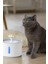 Kedi Köpek Su Çeşmesi Su Pınarı Kabı Led Işık Göstergeli 3