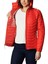 Powder Lite Hooded Kadın Mont 2