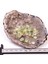 Prehnite Taşı Kabaşon 6*8 mm - Yüzük ve Kolye Taşı 2