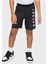 Jordan Jordan Vert Mesh Çocuk Şort 857176-023 1