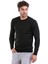 Erkek Siyah Regular Fit Yünlü Düz Bisiklet Yaka Triko Kazak 4