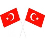 Çıtı Pıtı Store Sopalı Türk Bayrağı 100 Lü