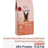 Teodor Yetişkin Köpek Maması Yüksek Enerjili 15 kg Somonlu-Pirinçli