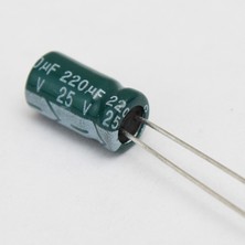 OEM 220/25
