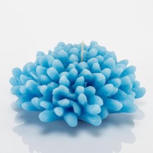 Missi Marin Mavi Mercan Mum