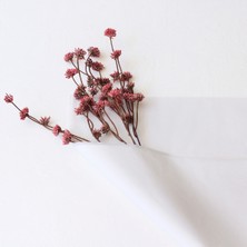 Pelur kağıdı  1 kg. (Beyaz)