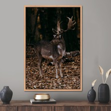 Kayra Export 1 Parça Naturel Çerçeveli Kanvas Tablo Sonbahar Yaprakları Kanvas Poster Vahşi Geyik Hediye Kanvas