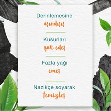 Himalaya Detoks Etkili Arındırıcı Yüz Temizleyici Scrub, Aktif Kömür, Yeşil Çay, Parabensiz, Tüm Ciltler 75ml