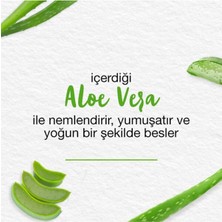 Himalaya Besleyici El ve Vücut Kremi, Kış Kirazı, Nemlendirici, Yağsız, Su Bazlı, Tüm Ciltler, 50 ml