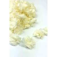 Nova Lazer Kesim Şerit Çiçek 65 1m