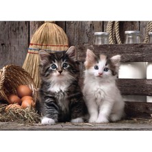 Clementoni - 1000 Parça High Quality Collection Yetişkin Puzzle - Lovely Kittens 39340