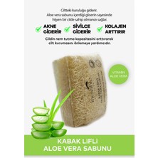 İncreible Doğal Kabak Lifli Aloe Vera Sabunu  Vitamin B3 Vitamin E Vitamin B5