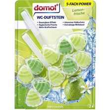 EKS Ticaret Domol Wc Kokusu Klozet Blok Limon Ferahlığı 110 gr