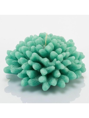 Missi Marin Yeşil Mercan Mum