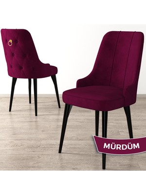 Canisa Concept Enoa Serisi, Siyah Gürgen Ayaklı Sandalye, 1.sınıf Babyface Kumaş Sandalye, Gold Halkalı, 1 Adet