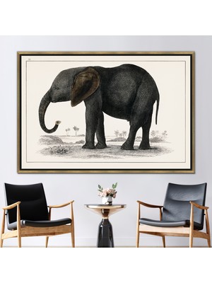 Kayra Export 1 Parça Gold Çerçeveli Kanvas Tablo Fil Çizimi Hayvan Sanat Eseri Fil Sevgili Hediyesi Sanat Eser