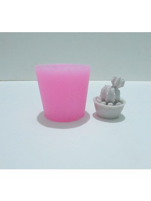 Arıca Pazarlama Saksıda Kaktüs Silikon Kalıbı (Mini Boy)