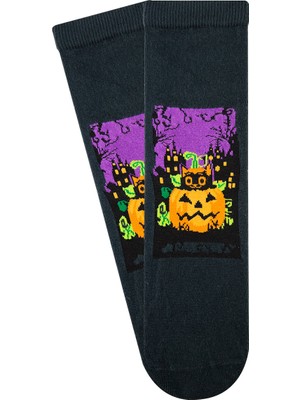 Bross Bal Kabağı Halloween Unisex Çorap