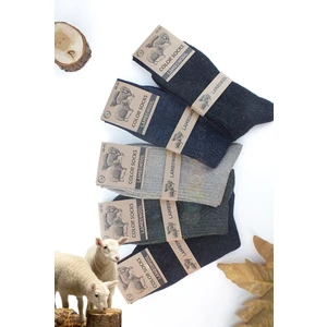 Color Socks 5 Çift Kışlık Yün Çorap Lambswool (Özel Kuzu Yünlü)
