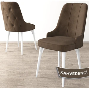 Concept Maya Serisi   Beyaz Gürgen Ayak 1 Adet