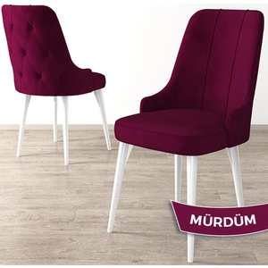 Concept Maya Serisi   Beyaz Gürgen Ayak 1 Adet