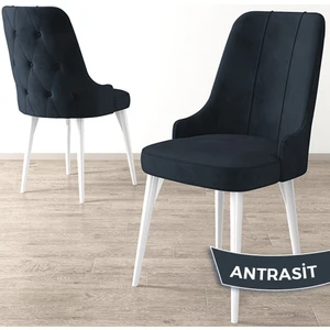 Concept Maya Serisi   Beyaz Gürgen Ayak 1 Adet