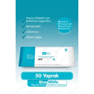 Blue White Hijyenik Perine Temizleme Havlusu 50'li Paket