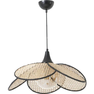 Pervane Tekli Camlı Rattan Sarkıt