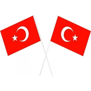 Çıtı Pıtı Store Sopalı Türk Bayrağı 100 Lü