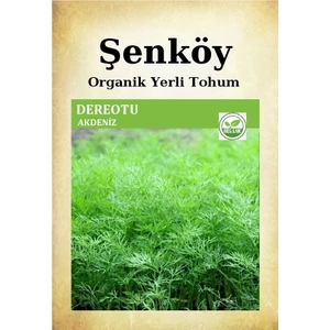 Yerli Dereotu Tohumu Akdeniz Doğal Ata Dere Otu Tohumu 10 Gr 7000 Adet