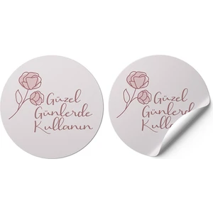 Gg Genç Girişimci Sticker Kuşe -Güzel Günlerde Kullanın- 4X4CM 50 Adet